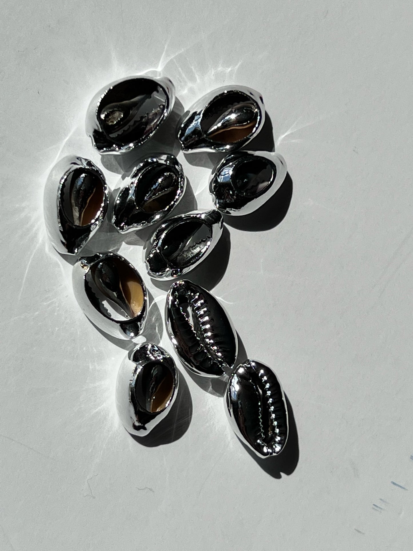 Light ‘em Up Cowrie Shell