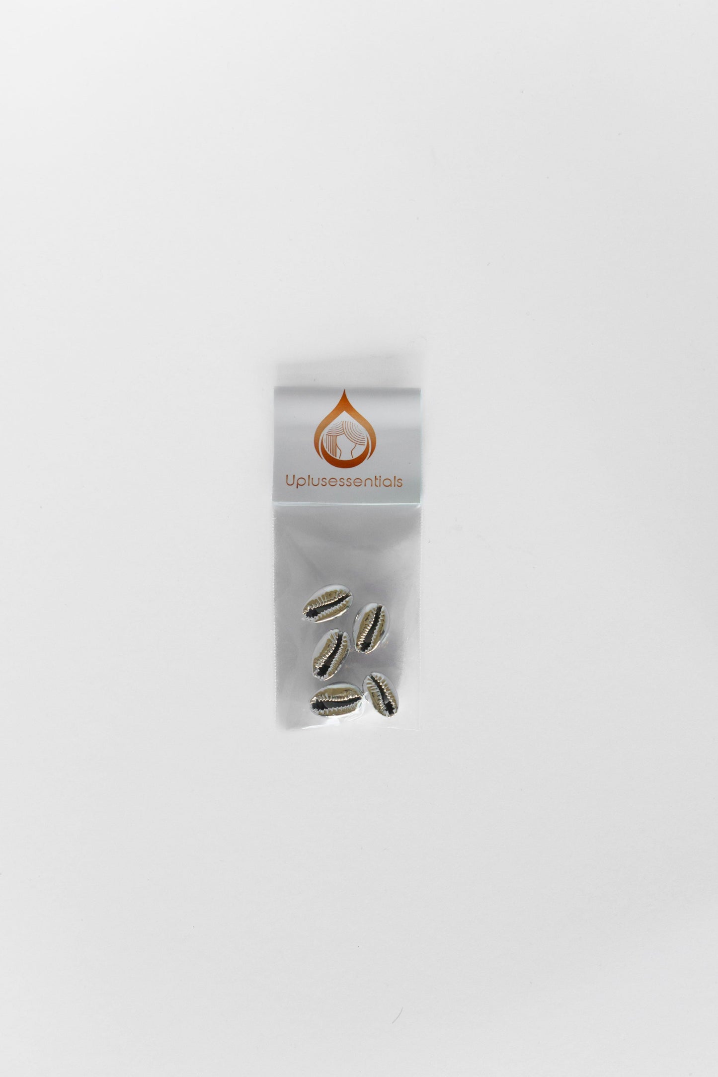 Light ‘em Up Cowrie Shell
