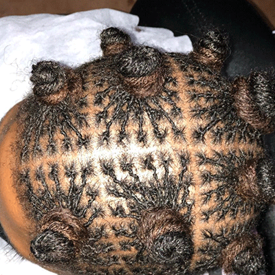 Sister Locks Establishment