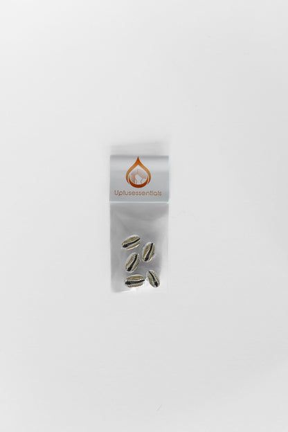 Light ‘em Up Cowrie Shell